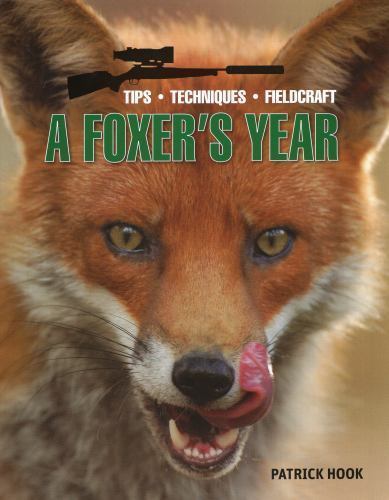 Foxer year - foxer's,