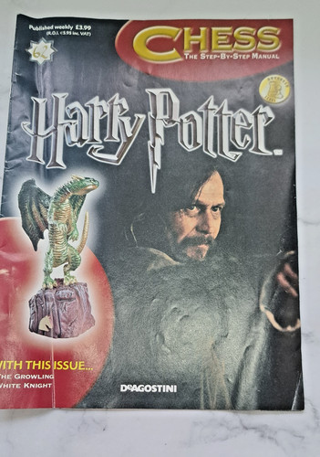 Harry potter wizard chess - wizard,