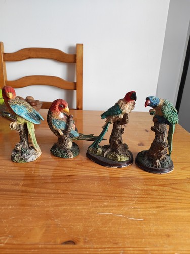 Four parrot collectable - four,