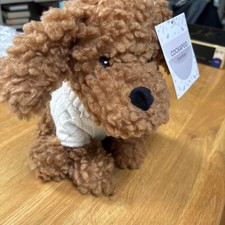 Adorable cockapoo dog door - ,