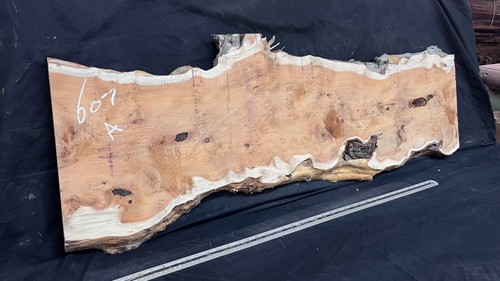Pippy yew coffee table - pippy,