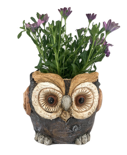 Owl shaped planter flower - shaped,