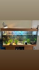 240L Juwel Tank