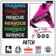 Tag Personalised Patch Dog