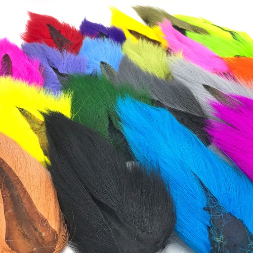 Hareline large northern - large,