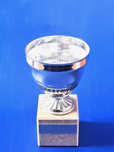 Silver bowl cup - bowl, award