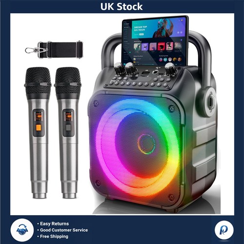 Two microphone karaoke system - karaoke,