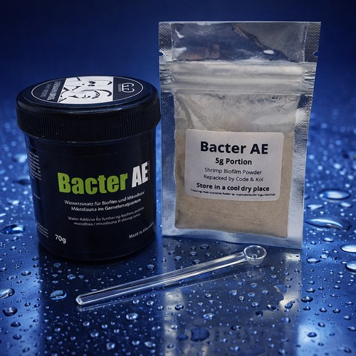 Glasgarten bacter shrimp - ae,
