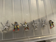 Citadel regiments of renown 6