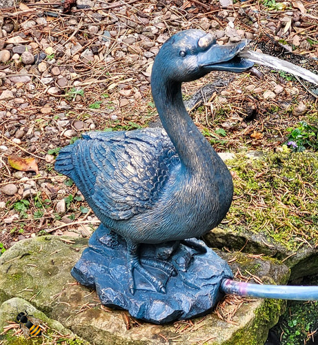 Pond spitter goose - pond,