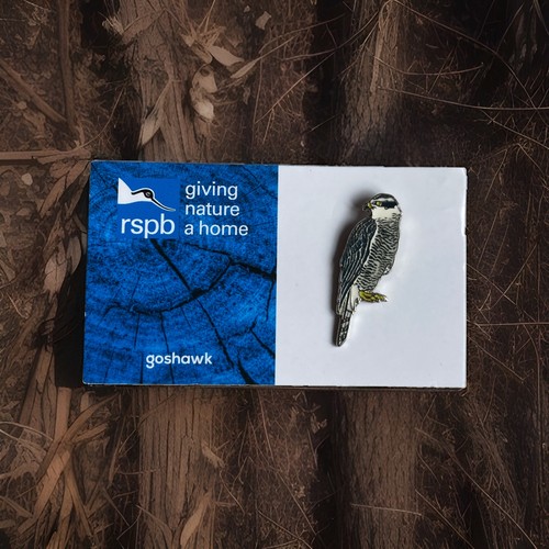 Rspb pin badge - badge,