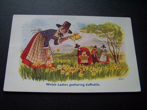 Welsh ladies gathering - welsh,