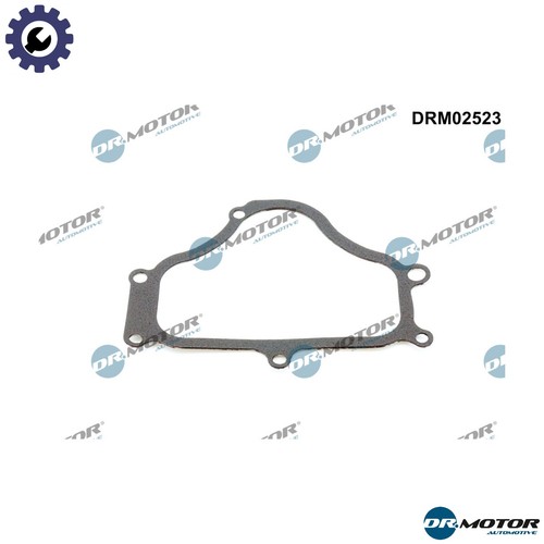 Gasket timing case - timing,