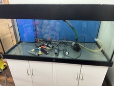 5ft Marine Fish Tank With