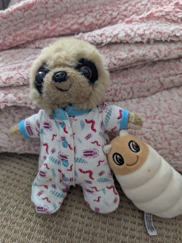 Baby oleg meerkat with grub - baby,