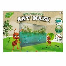 Ant Farm Maze Kids Build Your