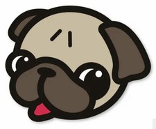In Door Caret - PUG Dog Cute