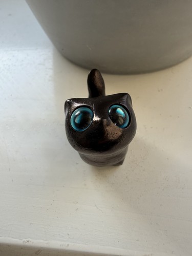 Beautiful little ebony kitten - little,