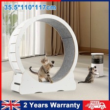 Wooden Cat Exercise Wheel 52"