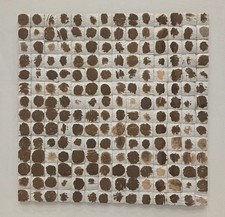 Cocomosaic Coconut Shell