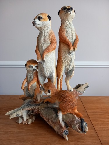 Country artists meerkat - country,