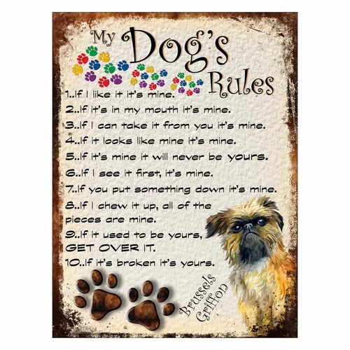 Dog rules retro style - dog's,