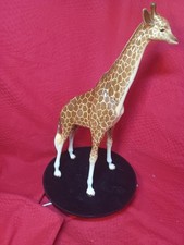   Beswick Giraffe. Full size very rare model no. 1631 excellent condition