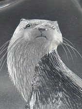 Mats Jonasson Swedish Art Glass Otter Paperweight, Signed to Base, 16.5cm high