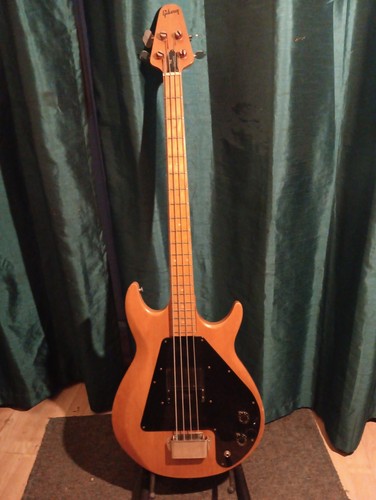 String electric bass guitar - electric,