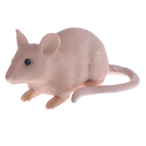 Realistic mouse animal model - realistic,