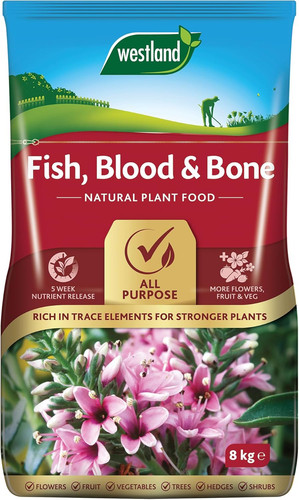 Westland fish blood bone - fish,,