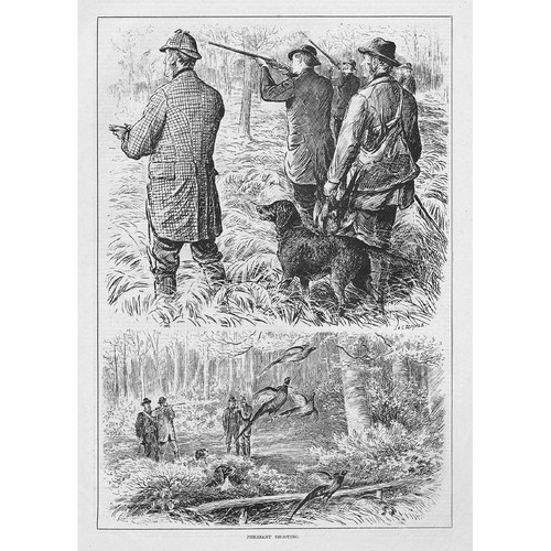 Pheasant shooting antique - shooting,