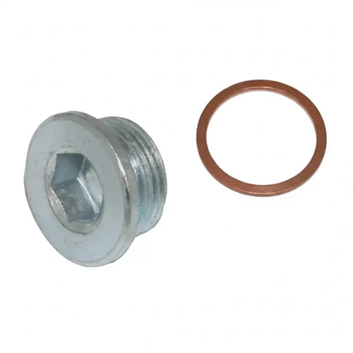 Threaded plug 257 809 011 - threaded, 257.809.011