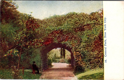Postcard central park new york - postcard,