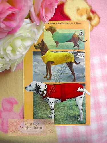 Vintage 1940s dog coat - vintage,