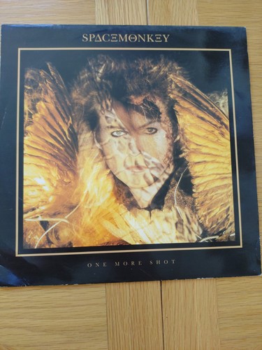 Space monkey one more - one, 12"