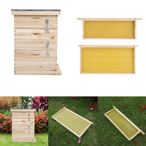 Langstroth beehive fir wood - fir,