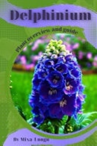 Delphinium plant overview - delphinium, and