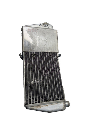 Rotax max evo genuine - max, silver
