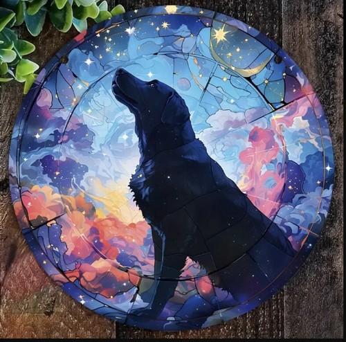 Labrador black dog stars - black,