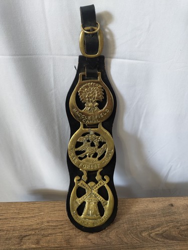 Edwardian horse brass - 3,