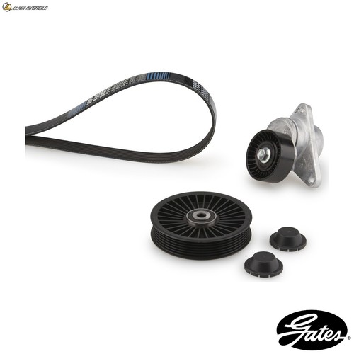 Ribbed belt kit - belt, k016dpk1825