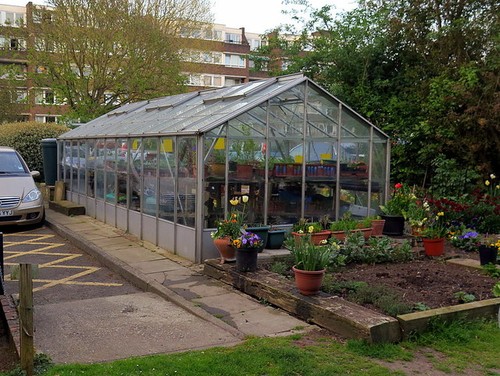 Photo 6x4 greenhouse - photo,
