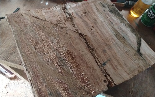 Large horse chestnut bowl - large,