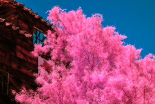 Infrared 470nm filter - infrared,