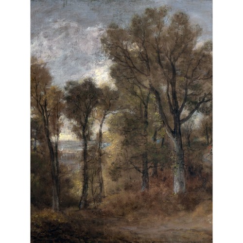 Constable woodland scene - constable,