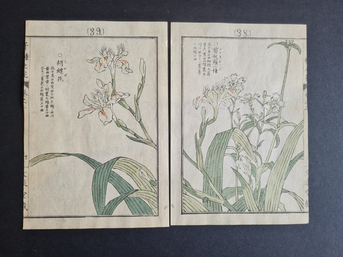Antique 1890 japanese - antique,