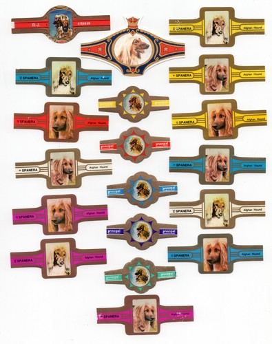 Afghan hound collection - afghan,