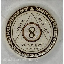 8 Month Alcoholics Anonymous
