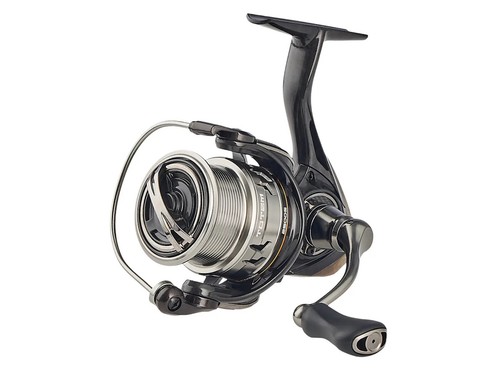 New 2026 favorite - new, reel